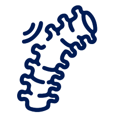 Endoscopic Discectomy